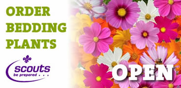 Post image for Bedding Plant Ordering